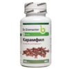 КАРАМФИЛ за пречистване на организма, 100 капс. / 400 mg