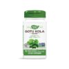 Готу Кола - Студени крайници, кръвообращение, 475 mg, 100 капсули