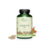 Шипка Био, прах - Hagebutte Bio 700 mg, 180 капсули, 100% Bio
