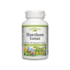 Глог - Сила за сърцето, баланс за нервната система, 465 mg, 60 капсули
