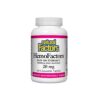 HemoFactors® / Желязо 20 mg х 60 дъвчащи таблетки