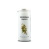 Kürbiskern - Тиквено семе 400 mg, 100 капсули