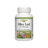 Olive Leaf / Маслина (лист) 500 mg х 90 капсули