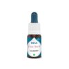 При страх и несигурност - Сибирски лук, капки по метода на Бах, 15 ml