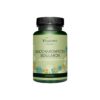 Saccharomyces Boulardii + Mannan-Oligosaccharide (MOS) / Сахаромицес боларди + Мананови олигозахариди, 90 капсули, 100% Vegan