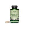 Teufelskralle Plus Mit Harpagosid / Билкова формула с дяволски нокът, бяла върба и джинджифил, 120 капсули, 100% Vegan