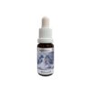 Зарежда със сила - Есенция Хахасия (Angel Esssence № 11), капки 15 ml