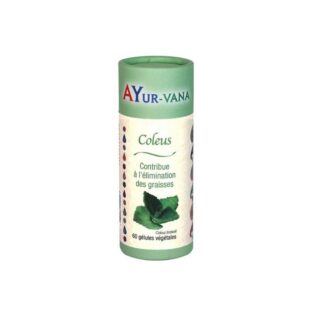 Здравословно отслабване - Колеус (форсколий), 300 mg х 60 капсули