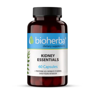 БИЛКОВА ФОРМУЛА ЗА БЪБРЕЦИ/ KIDNEY ESSENTIALS, 60 капсули, Биохерба
