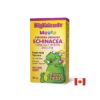 Ехинацея BigFriends® – Имунна подкрепа за деца и възрастни, 1000 mg, 50 ml