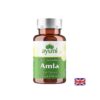 Амла – Имунна защита, храносмилателен комфорт и антиоксидантна подкрепа, 520 mg, 60 капсули
