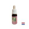 Есенция Мента №54 – Енергийна защита и психична яснота, 15 ml капки