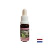 Есенция Пипер №51 – Сетивна яснота и енергийна активация, 15 ml капки