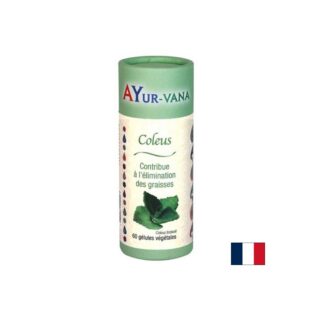 Здравословно отслабване - Колеус (форсколий), 300 mg х 60 капсули