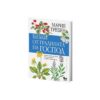 Билки от градината на Господ - Мария Требен