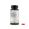 Медуница – Дихателни пътища и бронхи, 450 mg, 90 капсули